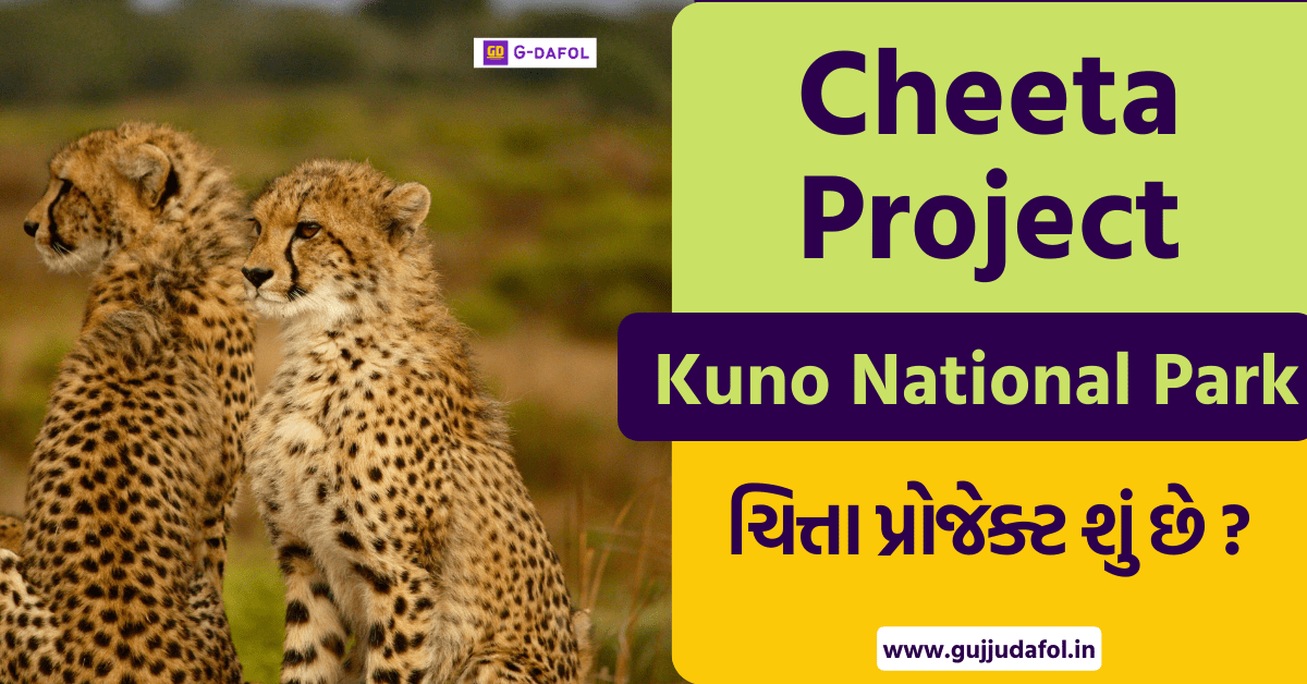 Cheeta Project